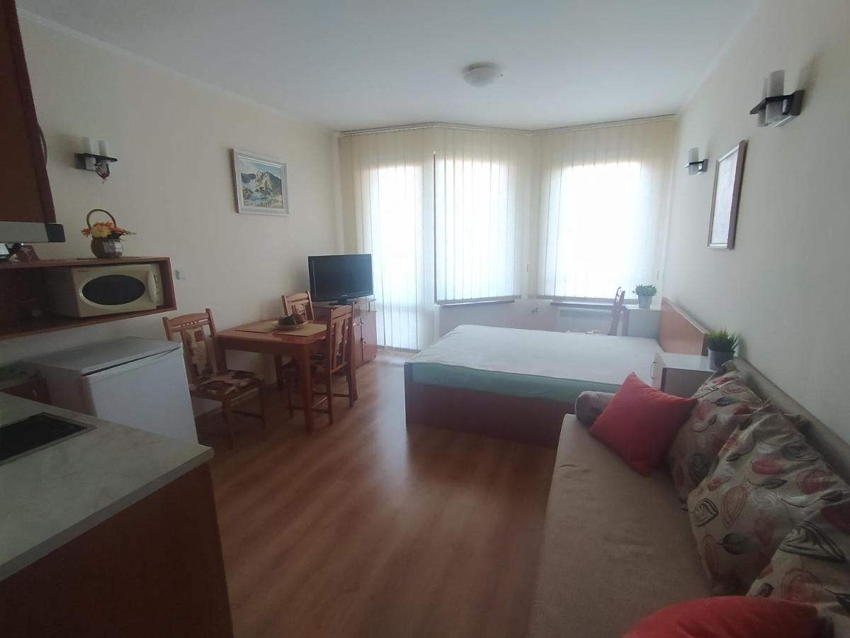 Pine Tree Studio B11 Банско Экстерьер фото
