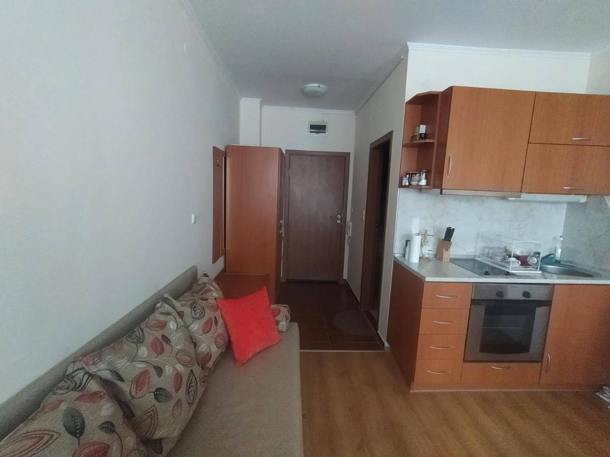Pine Tree Studio B11 Банско Экстерьер фото